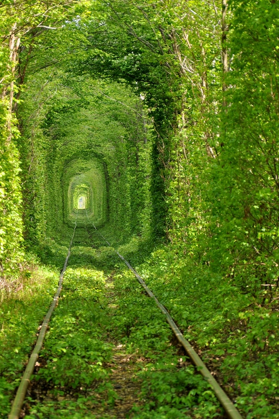 tunnel-of-love-rivne-oblast-ukraine-2-small.jpg