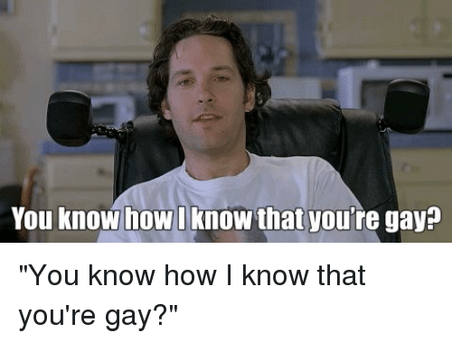 you-know-how-i-know-that-youre-gay-you-know-3121111.png