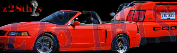 z28th1s-signature1png.png