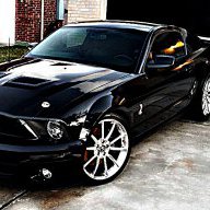 Shelby For Sale