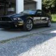 2010 Shelby